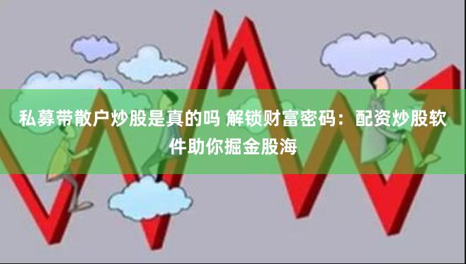 私募带散户炒股是真的吗 解锁财富密码：配资炒股软件助你掘金股海